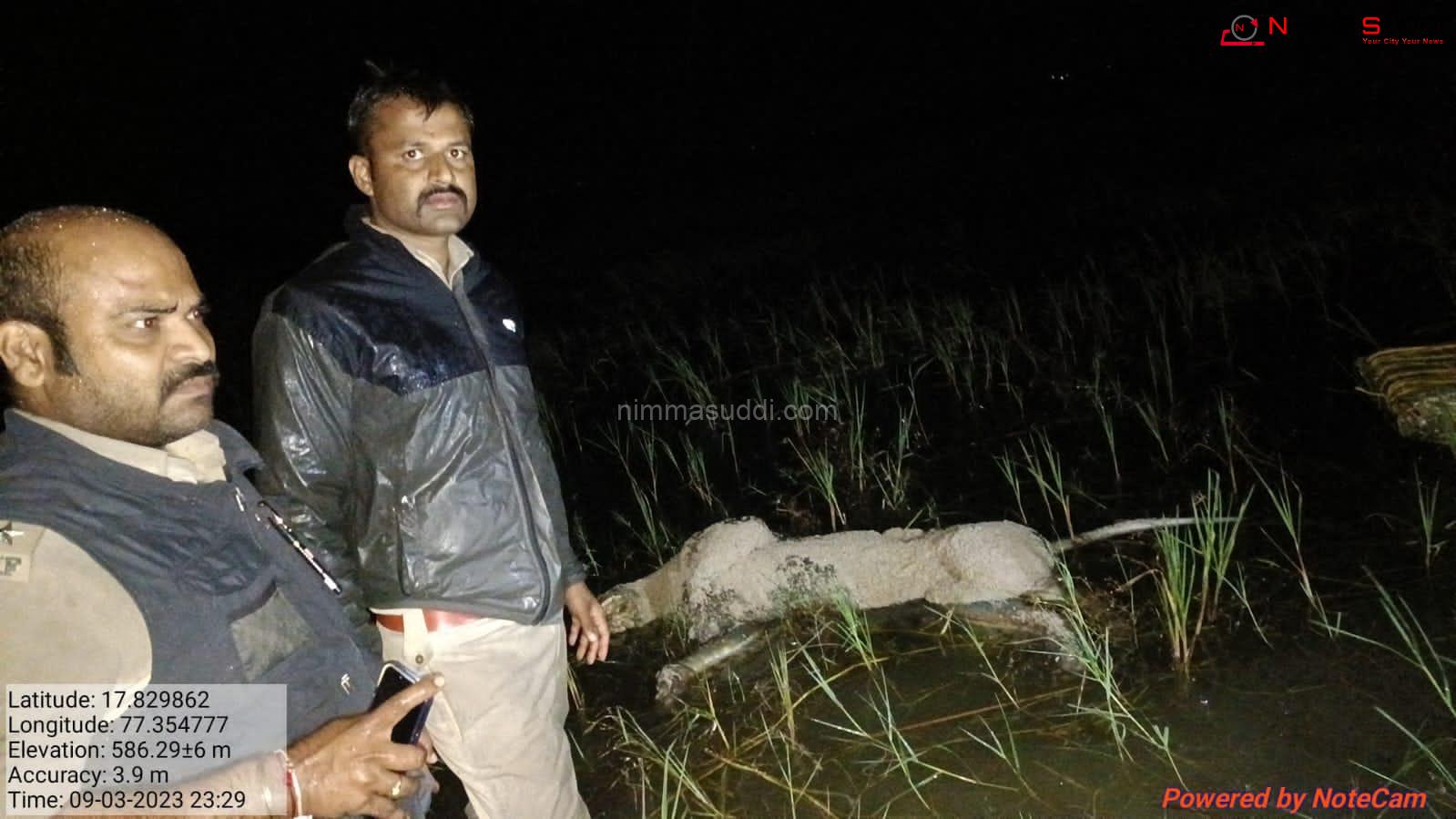 ಬಾವಗಿ ಬಳಿ ಕೊಳೆತ ಸ್ಥಿತಿಯಲ್ಲಿ ಗಂಡು ಚಿರತೆ ಶವ ಪತ್ತೆ