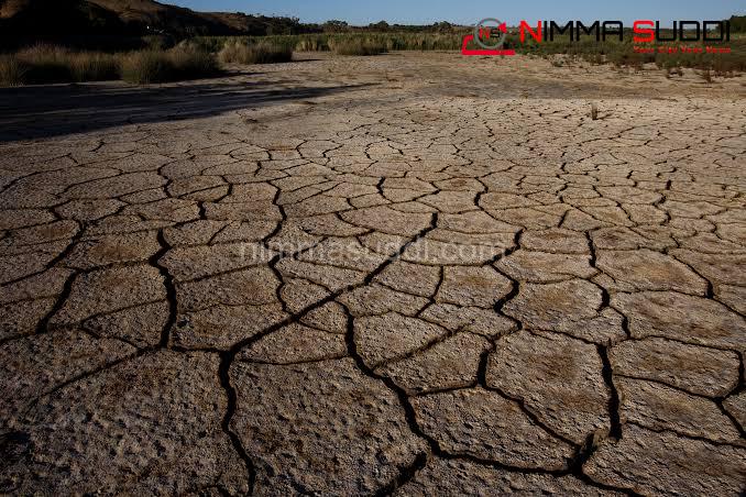 Drought Situation : ರಾಜ್ಯದ 195 ತಾಲೂಕುಗಳು ಬರಪೀಡಿತ; ಕಂದಾಯ ಸಚಿವ ಕೃಷ್ಣಬೈರೇಗೌಡ ಘೋಷಣೆ, ಕೇಂದ್ರಕ್ಕೆ ವರದಿ